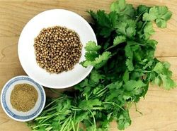 گشنیز نهاوند وارد بازار بورس می&zwnj;شود