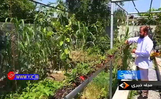 سنگ فیروزه، سوغات اصیل ایرانی+فیلم