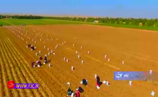 سنگ فیروزه، سوغات اصیل ایرانی+فیلم