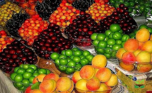 خشکسالی میوه&zwnj;های تابستان را بلعید