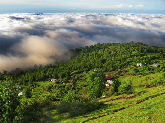 بارش باران و خنکی هوای گیلان