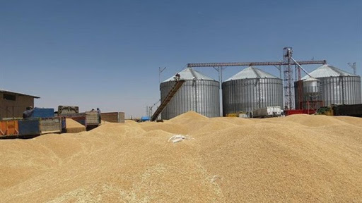 آمادگی ۲۴ مرکز برای خرید تضمینی و توافقی گندم در خراسان شمالی