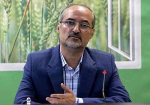 ۳۲ هزار هکتار از مزارع قم زیر کشت است