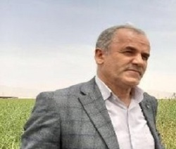 پیش بینی خریدتضمینی ۴۰۰ هزار تن کلزا درکشور