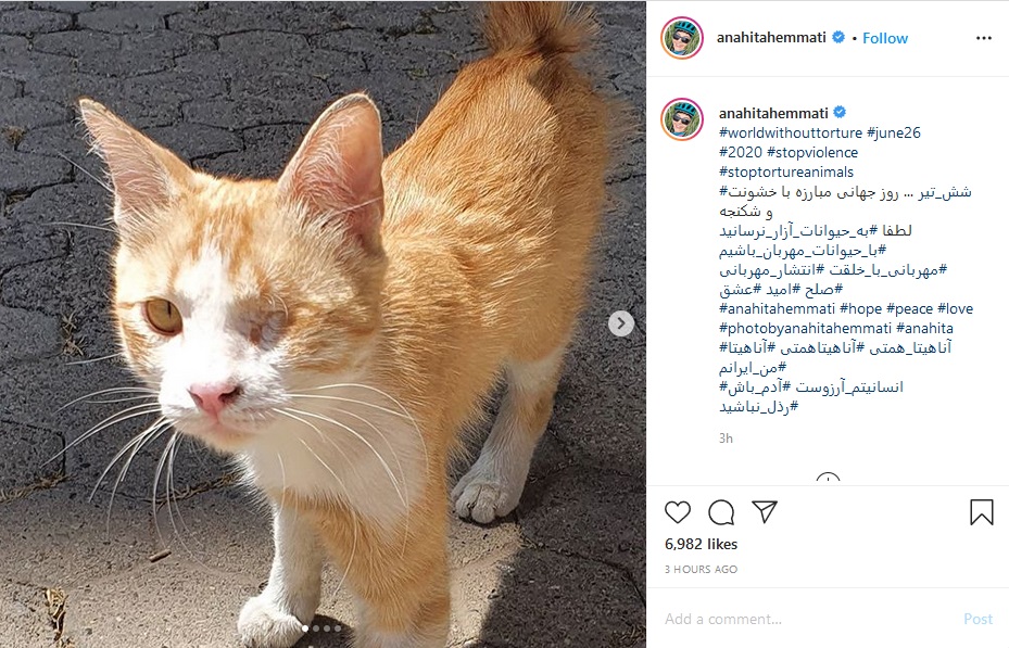 بسته اینستاگرامی هنرمندان به تاریخ ۶ تیر؛