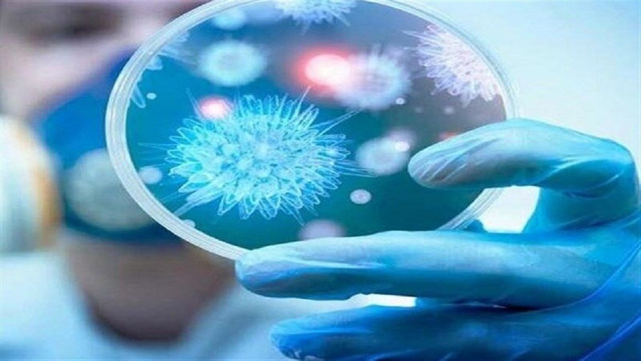 معتادان به مواد مخدر نسبت به کرونا آسیب‌پذیرترند