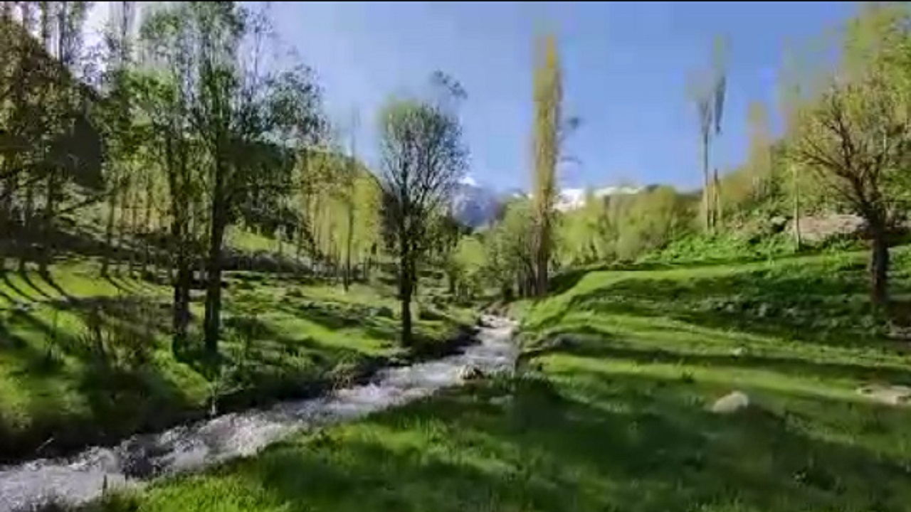 رودخانه پرآب در طبیعت زیبای روستای &laquo;گریوده&raquo; بابل + فیلم
