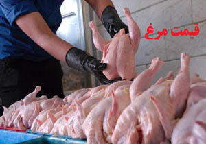 عوامل افزایش قیمت مرغ در لرستان تشریح شد