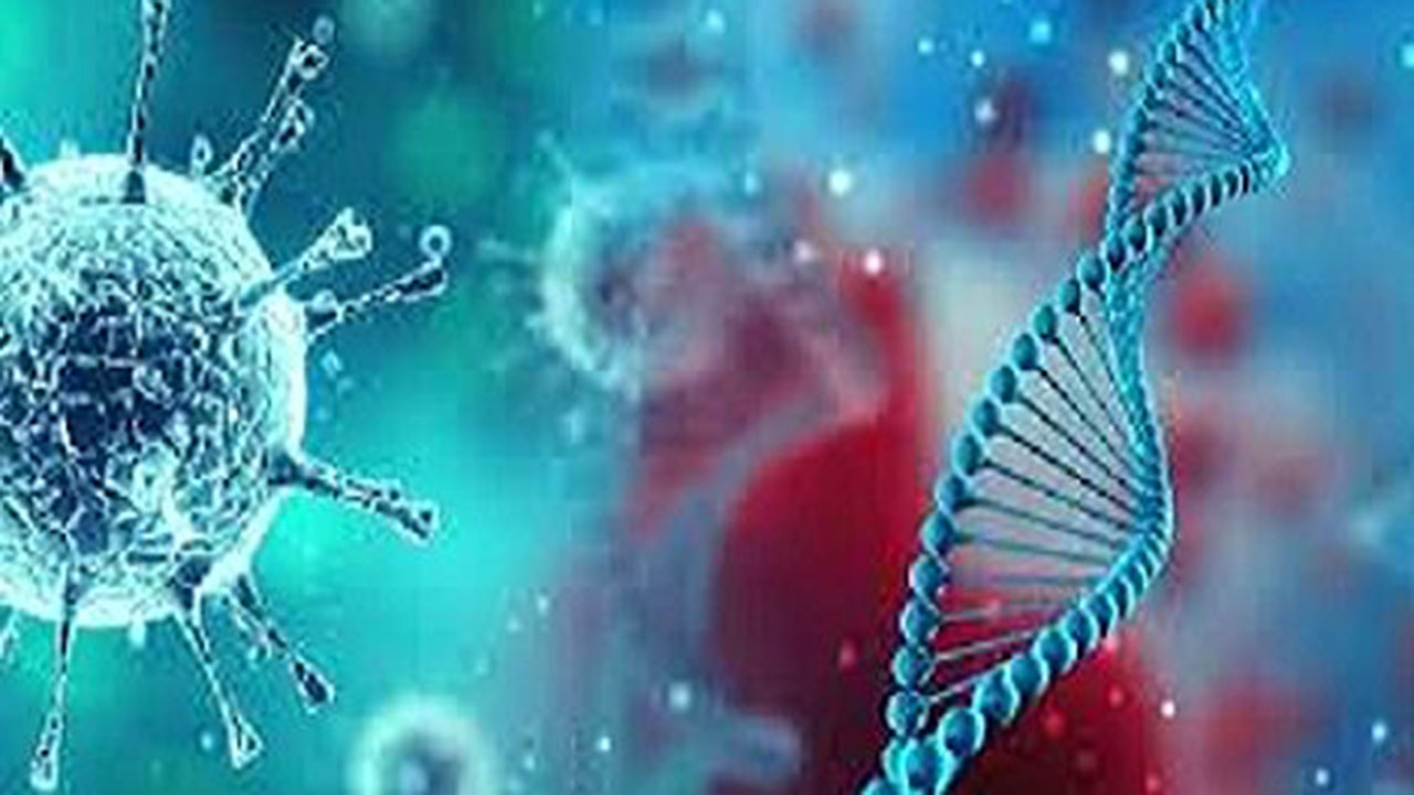 مردم در مراسم ها شرکت نکنند