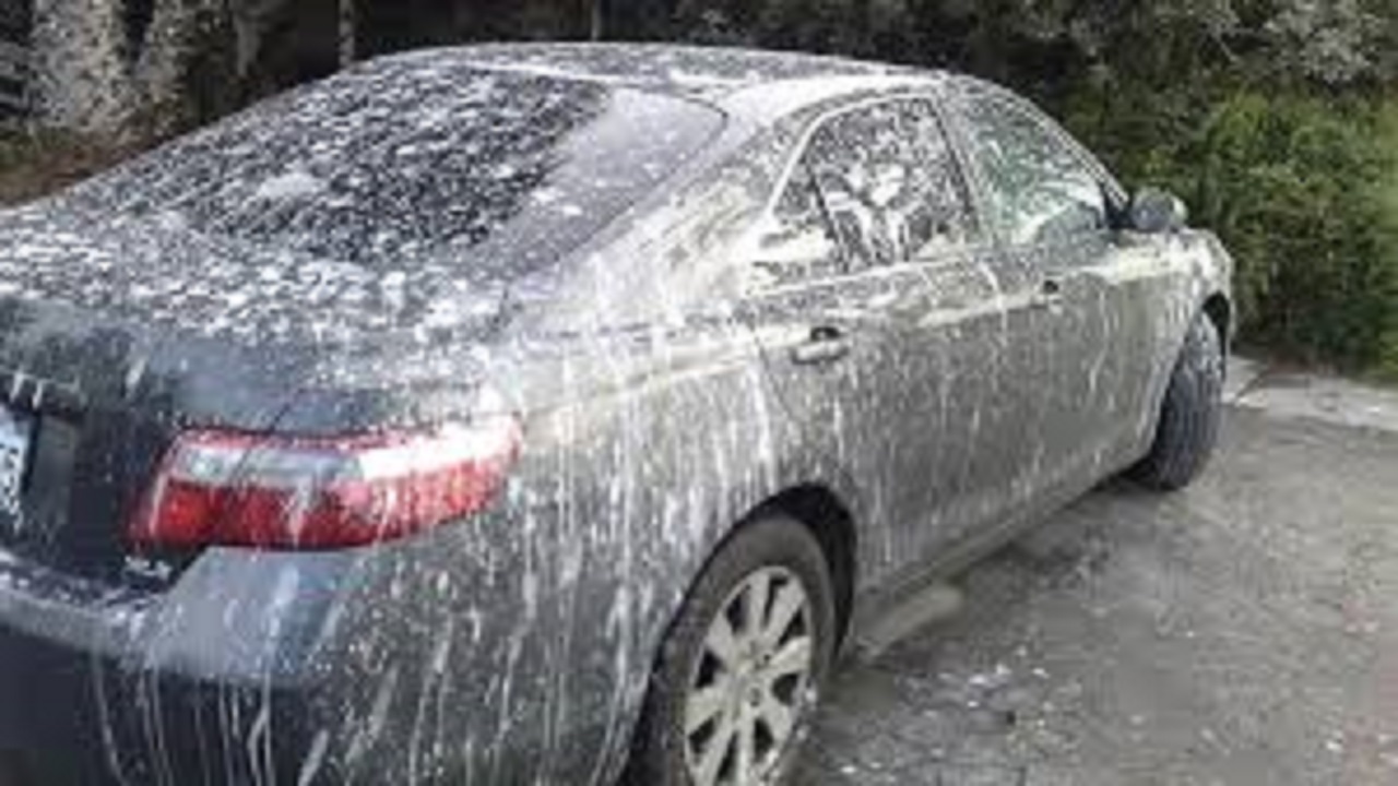 روشی آسان برای پاک کردن فضله پرندگان از خودرو