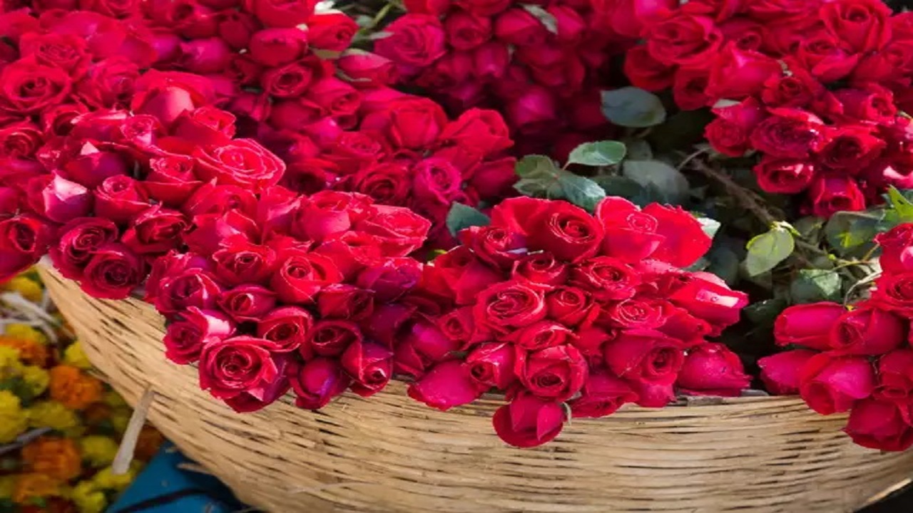 ۶ ایده سرمایه گذاری و کارآفرینی مطمئن در سال ۱۳۹۹