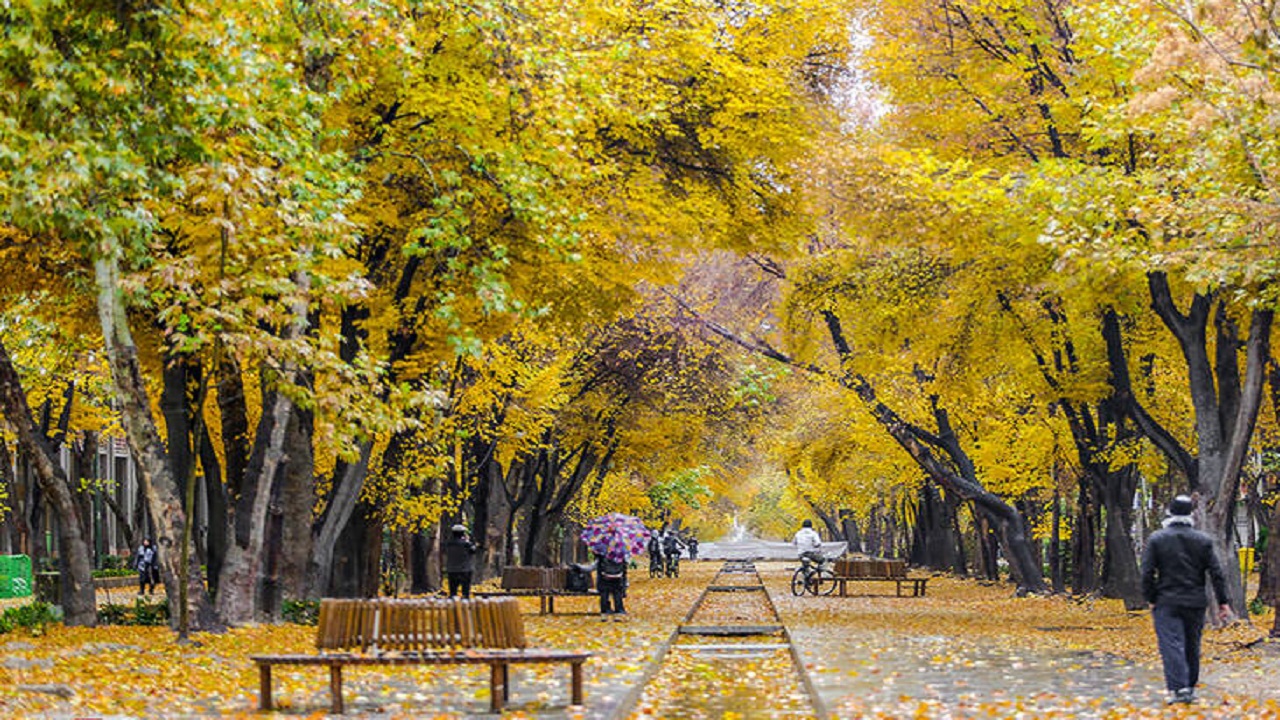 چهار فصل زیبای چهارباغ در یک نگاه + فیلم