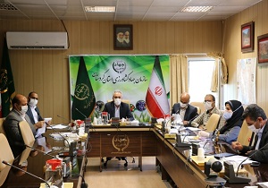 ۲۱۳ پلاک از اراضی استان کردستان رفع تداخل شد