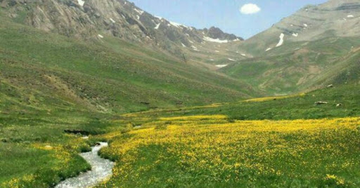 بازگردانی بیش از ۸۰۰ هکتار از اراضی ملی به منابع طبیعی استان همدان