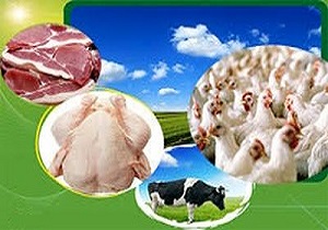 صادرات فرآورده های خام دامی استان کردستان به خارج از کشور
