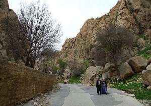 ثبت ملی درختان کهن‌سال بقعه بابایادگار