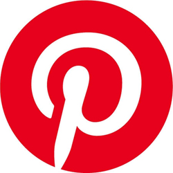 دانلود Pinterest 8.25.0 - برنامه شبکه اجتماعی پینترست