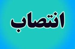 معرفی سرپرست معاونت امور عمرانی استانداری همدان