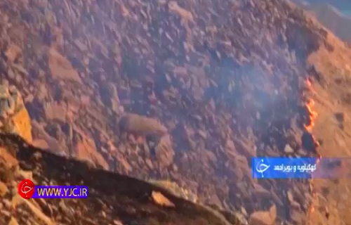 راه و رسم زندگی مومنانه تا تکرار داستان ریزعلی+فیلم