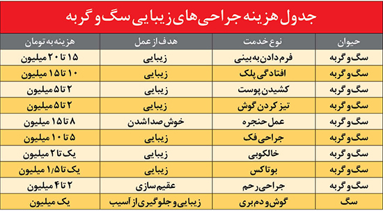 شیوع جراحی زیبایی حیوانات در ایران؛ دارندگی و برازندگی!