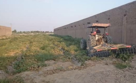 تخریب مزرعه صیفی جات فاضلابی در حصار سرخ