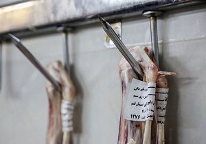 طرح نذر قربانی در قم اجرا شد
