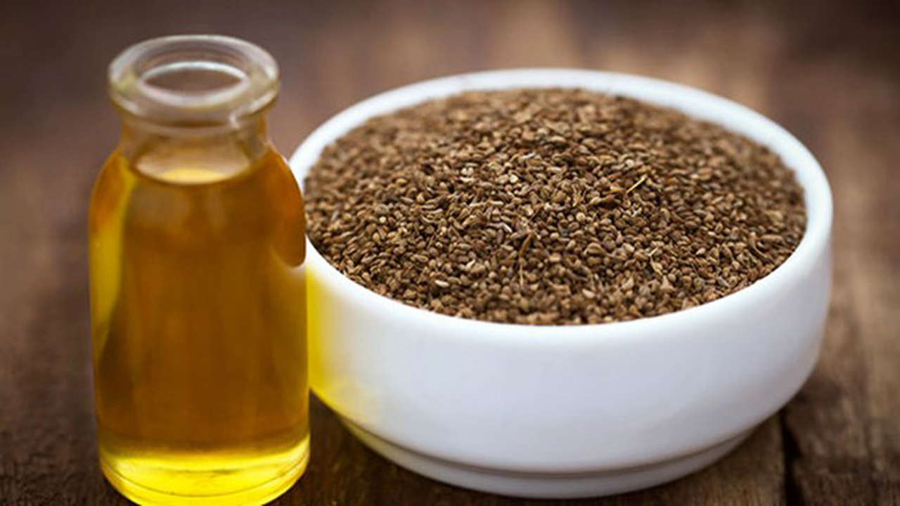 همه چیز درباره گیاه زنیان