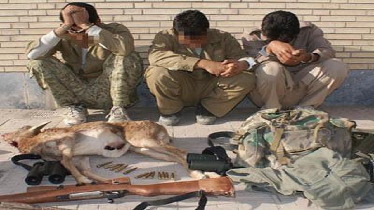 دستگیری شکارچیان غیر مجاز توسط محیط بانان در نیشابور