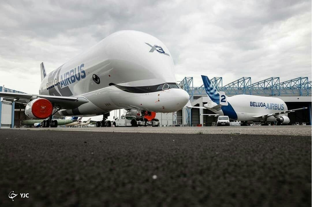 ارباس BelugaXL