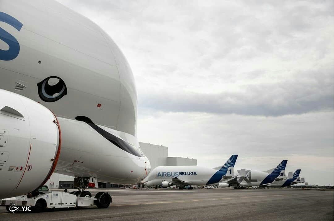 ارباس BelugaXL