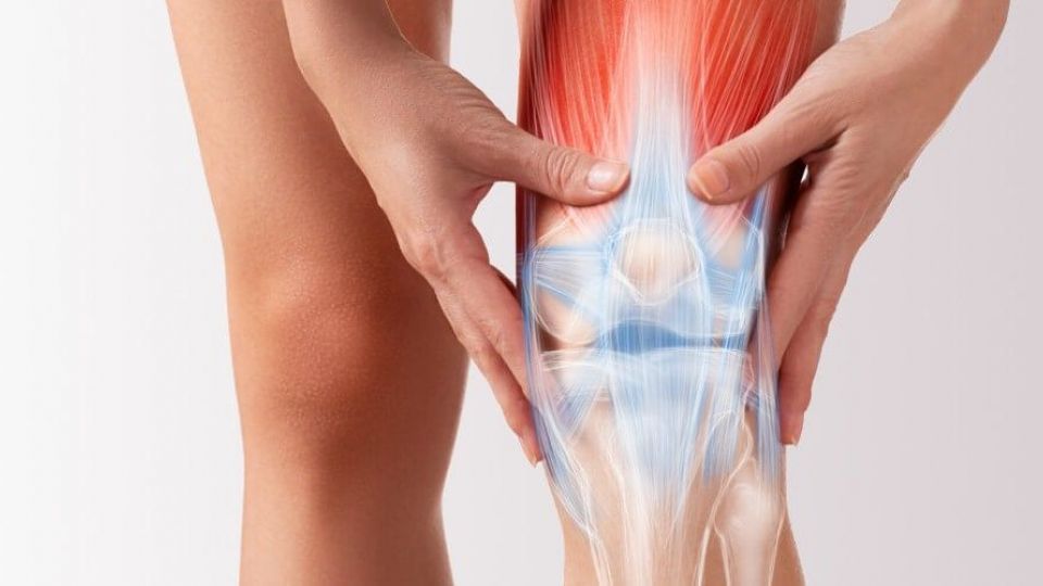فواید ورزش پیاده رویی برای همه سنین/علی بیگی