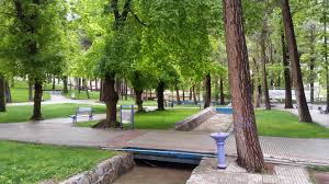 اختصاص زمین ۷ هزار متری برای احداث پارک بانوان