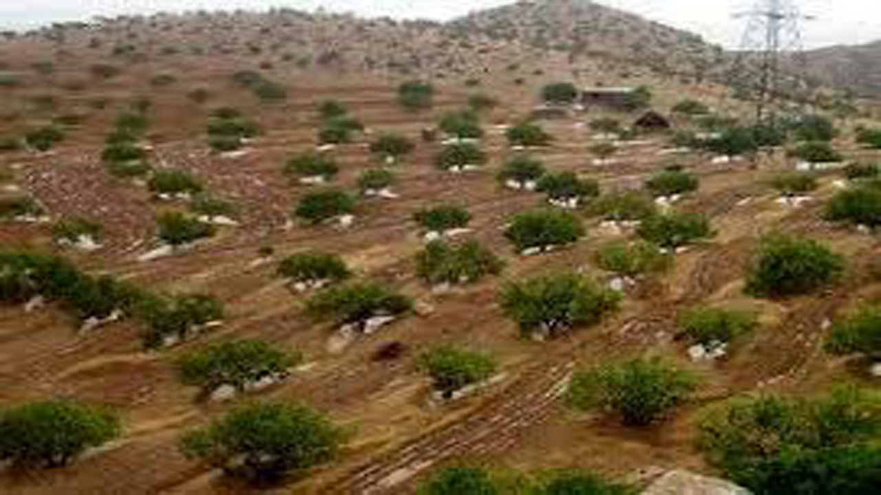 رهاسازی سازی ۱۵ هزار متر از اراضی ملی در فسا
