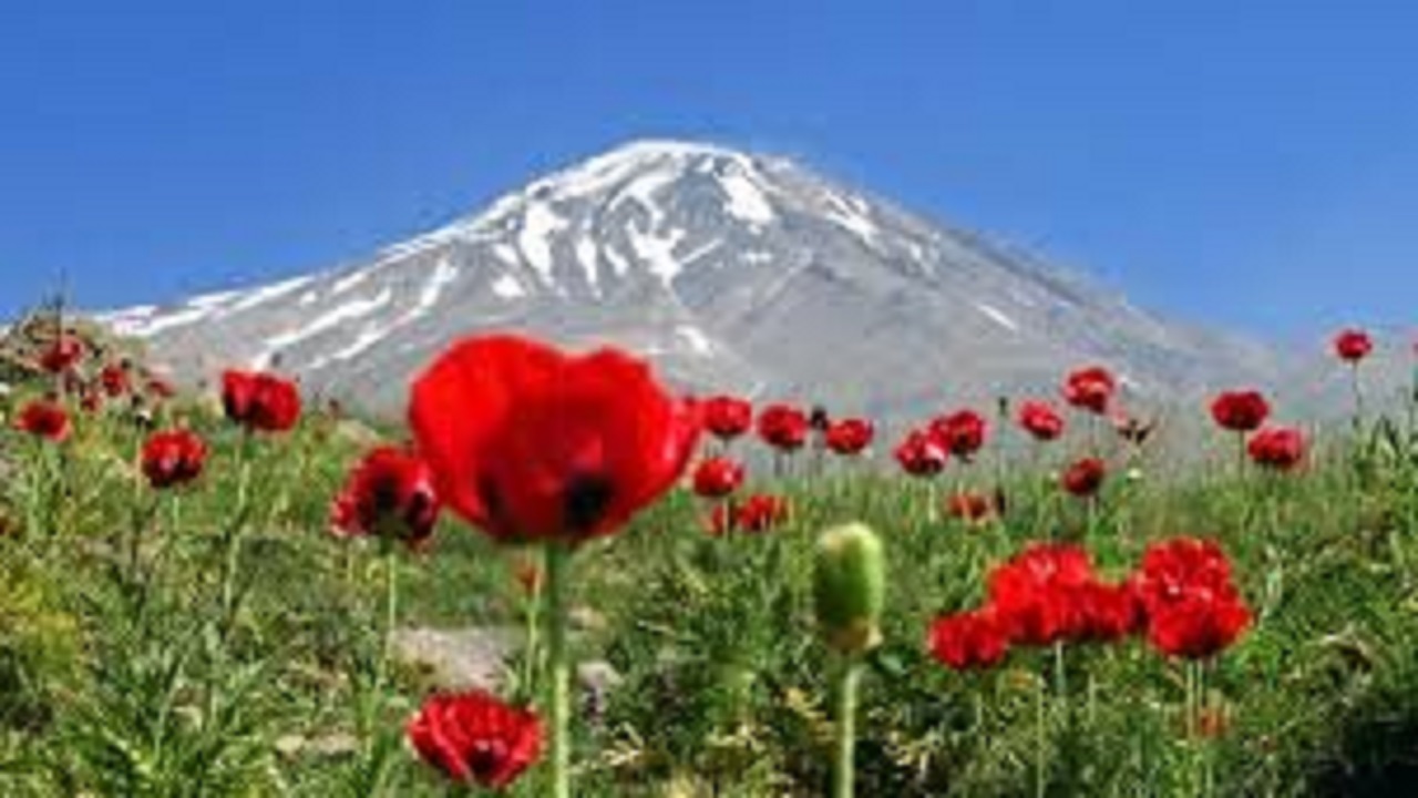 پاسخ به ابهامات احکام وقف و انفال/ مقررات مرتبط باید در کنار هم بررسی شوند