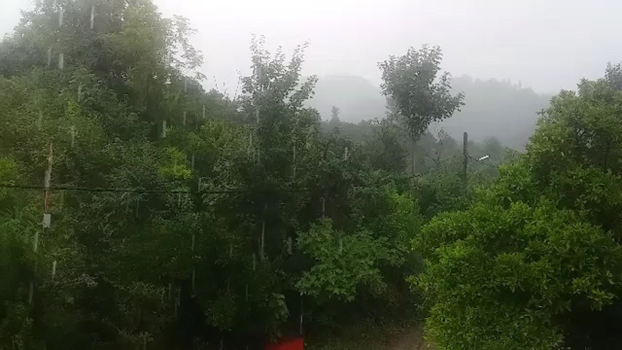 بارش باران تابستانی در سیاهکلرود + فیلم