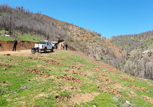 ۲ هزار متر مربع از اراضی ملی در روستای قویطل رفع تصرف شد