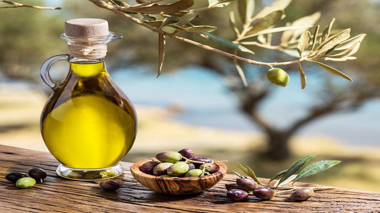 ۲۳ طرح سرمایه‌گذاری کشاورزی سمنان در اراضی ملی اجرا می‌شود