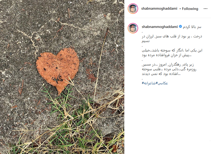 پست جالب شبنم مقدمی