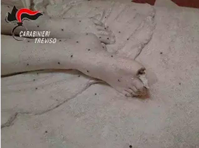 خسارت تورسیت اتریشی به مجسمه ۲۰۰ ساله