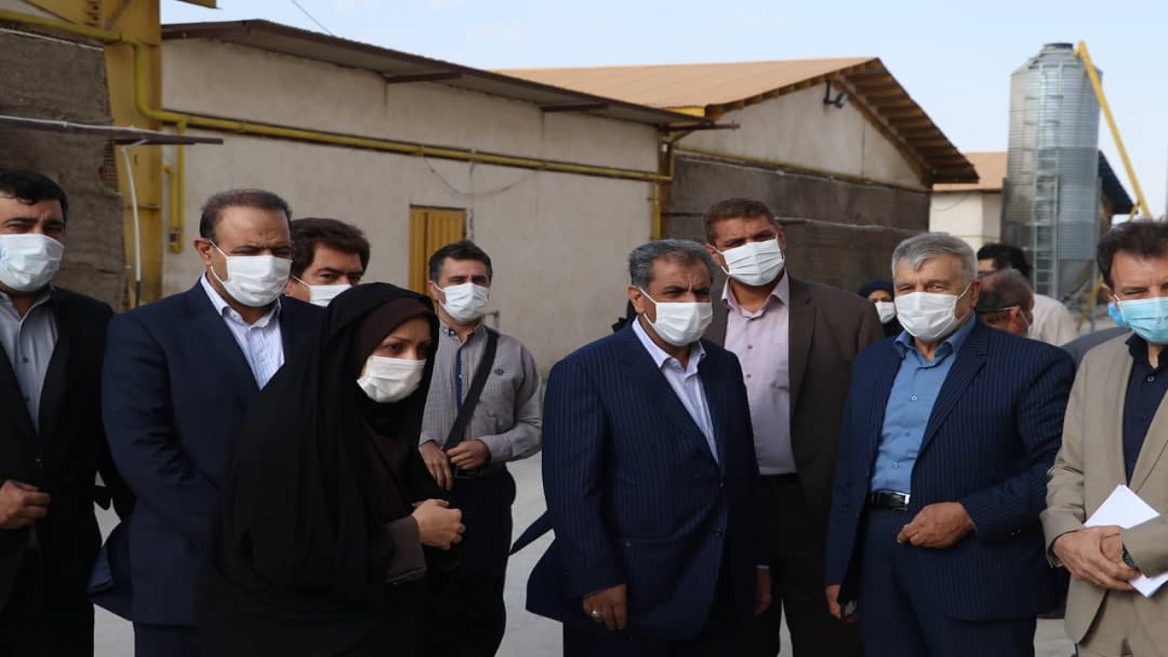 بازدید استاندار از چند واحد صنعتی و کشاورزی در تاکستان