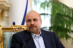 رئیس مجلس با خانواده روح الله رجایی دیدار کرد
