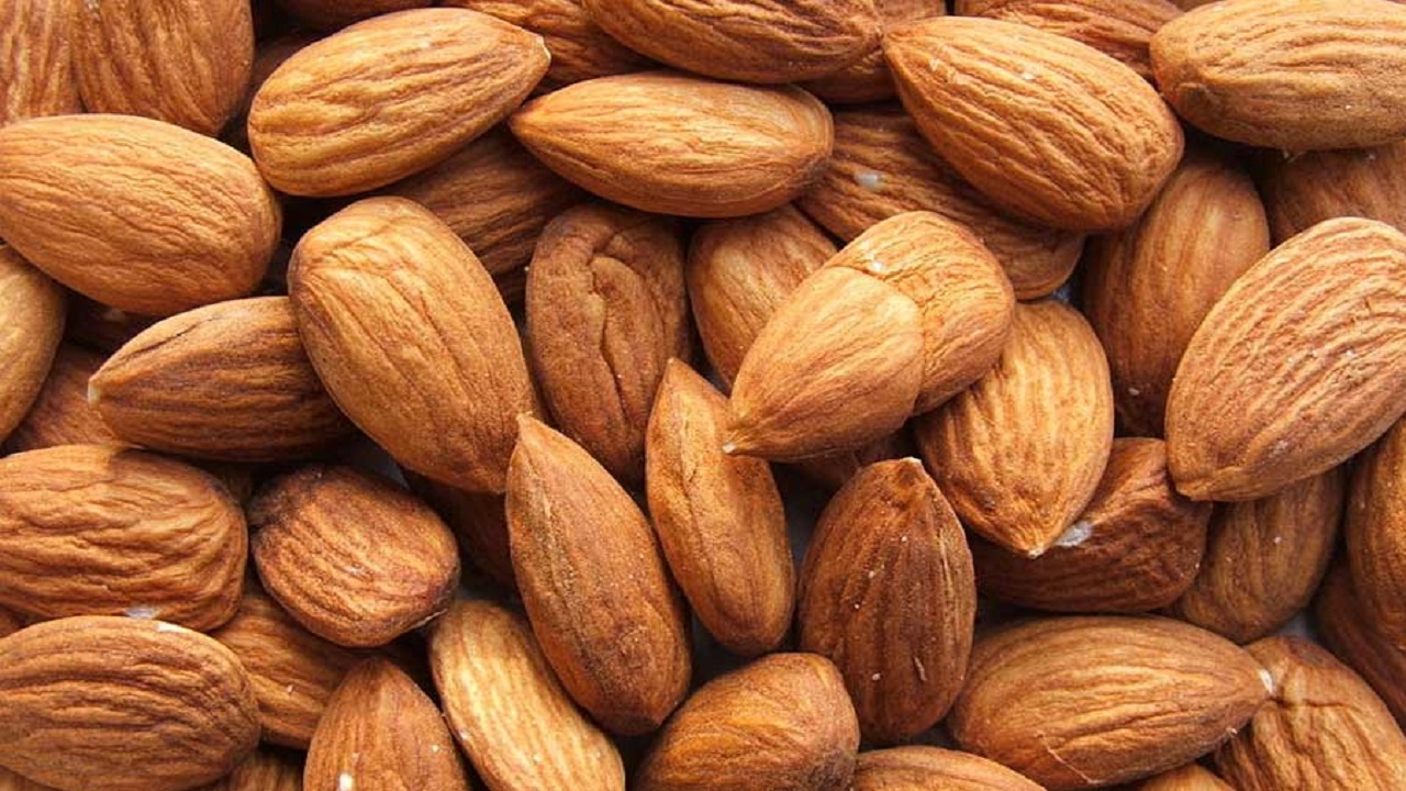صادرات ۱۳۴ تن بادام از چهارمحال و بختیاری