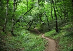 د اراضی ملی 
