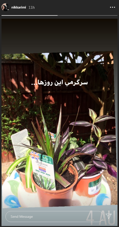 نیکی کریمی