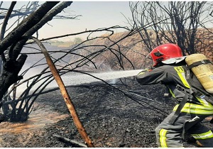 مهار حریق باغ در بلوار نواب صفوی