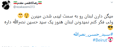 حمایت کاربران از سید حسن نصرالله