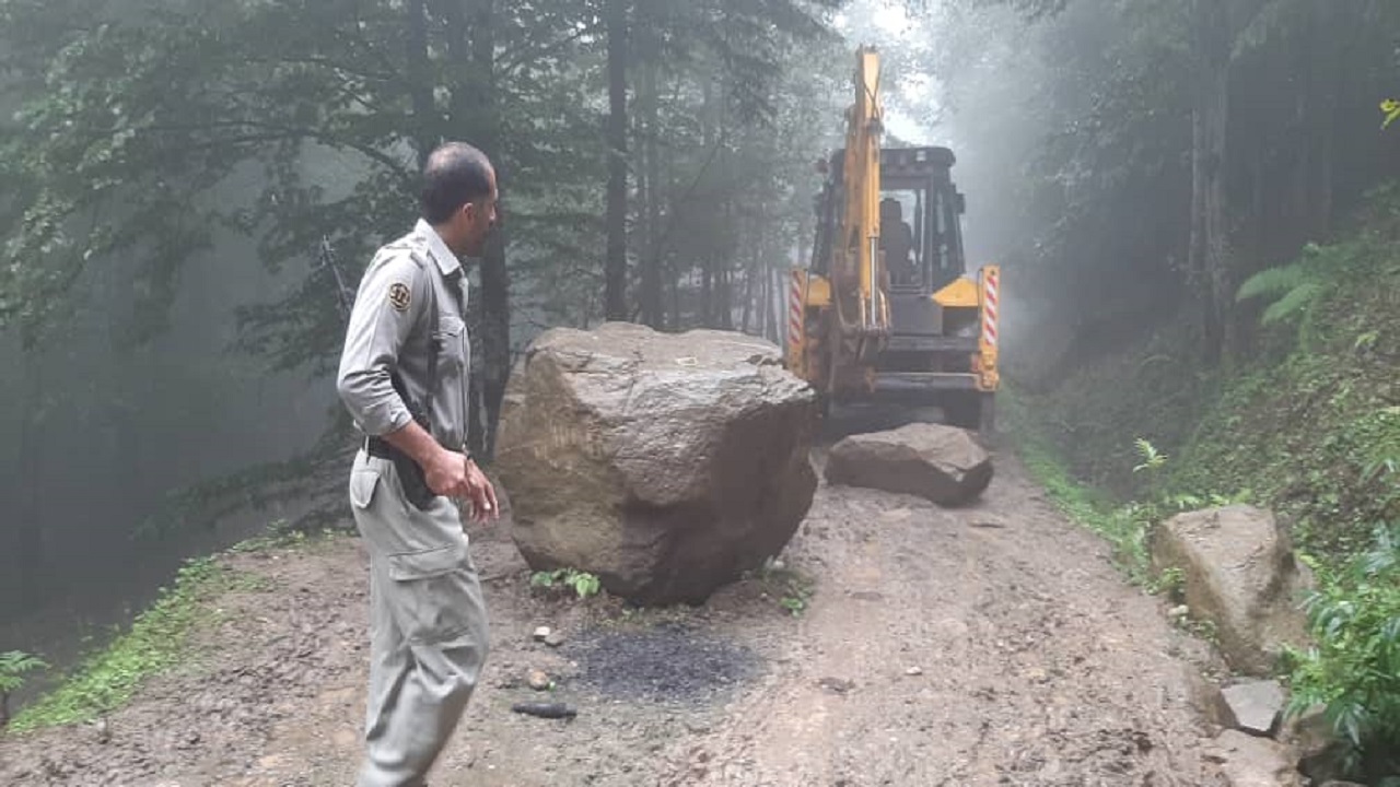 فصل گاوبانگی و حفاظت از مرال‌ها در نوشهر
