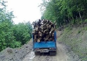 کشف ۱۰۵ اصله چوب‌آلات قاچاق جنگلی در اردبیل