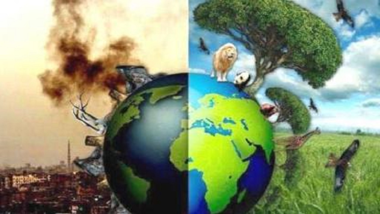 تشکل‌های زیست محیطی لازمه  ارتقای سطح آگاهی‌های محیط زیستی