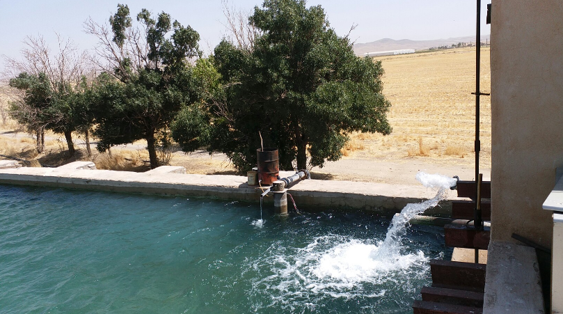 فعالیت ۲۴ فروشگاه&zwnj; زنجیره&zwnj; روستایی در کردستان /شرکت گنجی قروه تنها سایت فرآوری بذر جو در کردستان